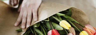 Beste Blumenläden in Erftstadt & der Nähe – Top Bewertungen & Ranking 2026 – wer kennt den BESTEN