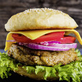Veganer Gourmet Food Truck "Bunte Burger"