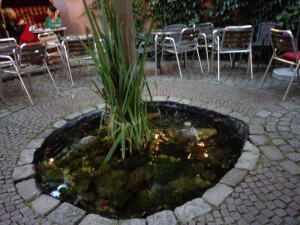 https://www.yelp.com/biz/venezia-hamburg