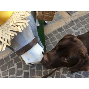 Veronika Wörner Tierarztpraxis