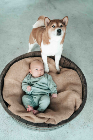 Baby mit Hund