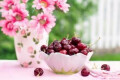 Logo Vitalessen.com Ernährungsberatung Mareike Smyrek