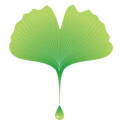 Logo Vitalis Apotheke