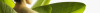 Bild: Vitaltreff Rhein-Main