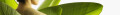 Logo Vitaltreff Rhein-Main