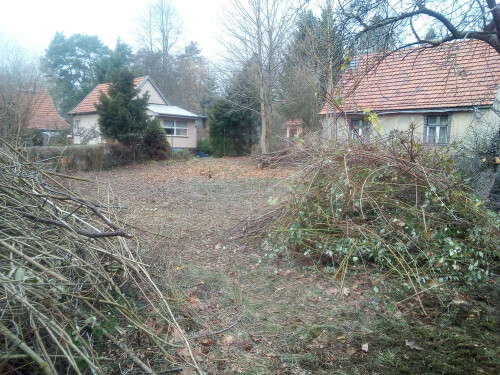 Grundstück von Wildwuchs befreit