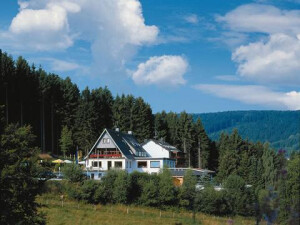 Das Wald-Hotel mitten im Grünen. Ruhig gelegen!