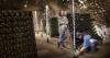 Bild: Weingut Bernd Weik