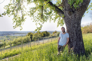 Weinproben