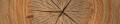 Logo Welter Rainer