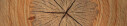 Logo Welter Rainer