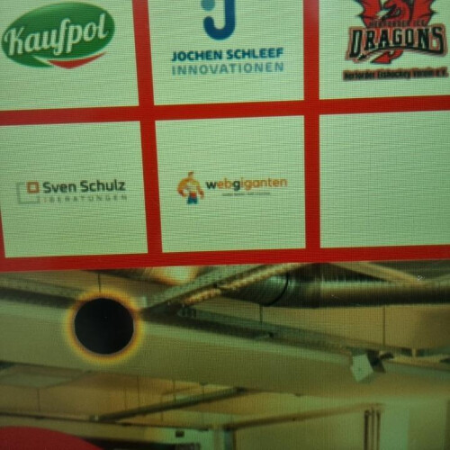 webgiganten logo eingang.jpg