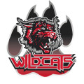 Wildcats Cheerleader Leverkusen e.V.