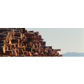 Wilhelmy Holz GmbH