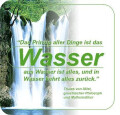 Logo Wolf Dr. GmbH