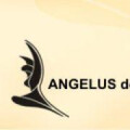 www.angelus-design.de Angelus design - Suncica Rodermund Designagentur