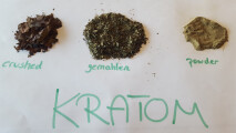 Bild: www.Dreamherbs.de in Maxdorf, Pfalz