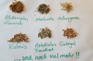 Bild: www.Dreamherbs.de in Maxdorf, Pfalz