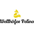 www.wellhoeferpelino.de