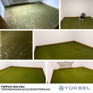 Teppichreinigung.png