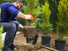 Bild: Zeqiraj Arsim A-Z Gartenbau