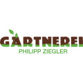Ziegler Philipp