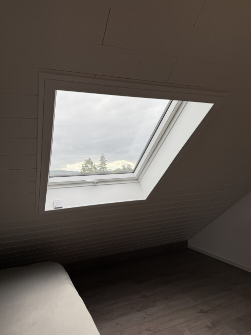 Dachfenster3.JPEG