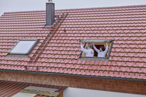 WhatsApp Bild 2025-06-13 um 11.26.41_a32bb57f.jpg