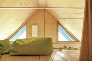 WhatsApp Bild 2025-06-13 um 11.33.58_207e6517.jpg