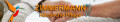Logo Zimmermann Häusliche-Pflege