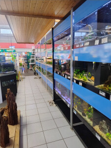 Aquarienanlage I.jpg